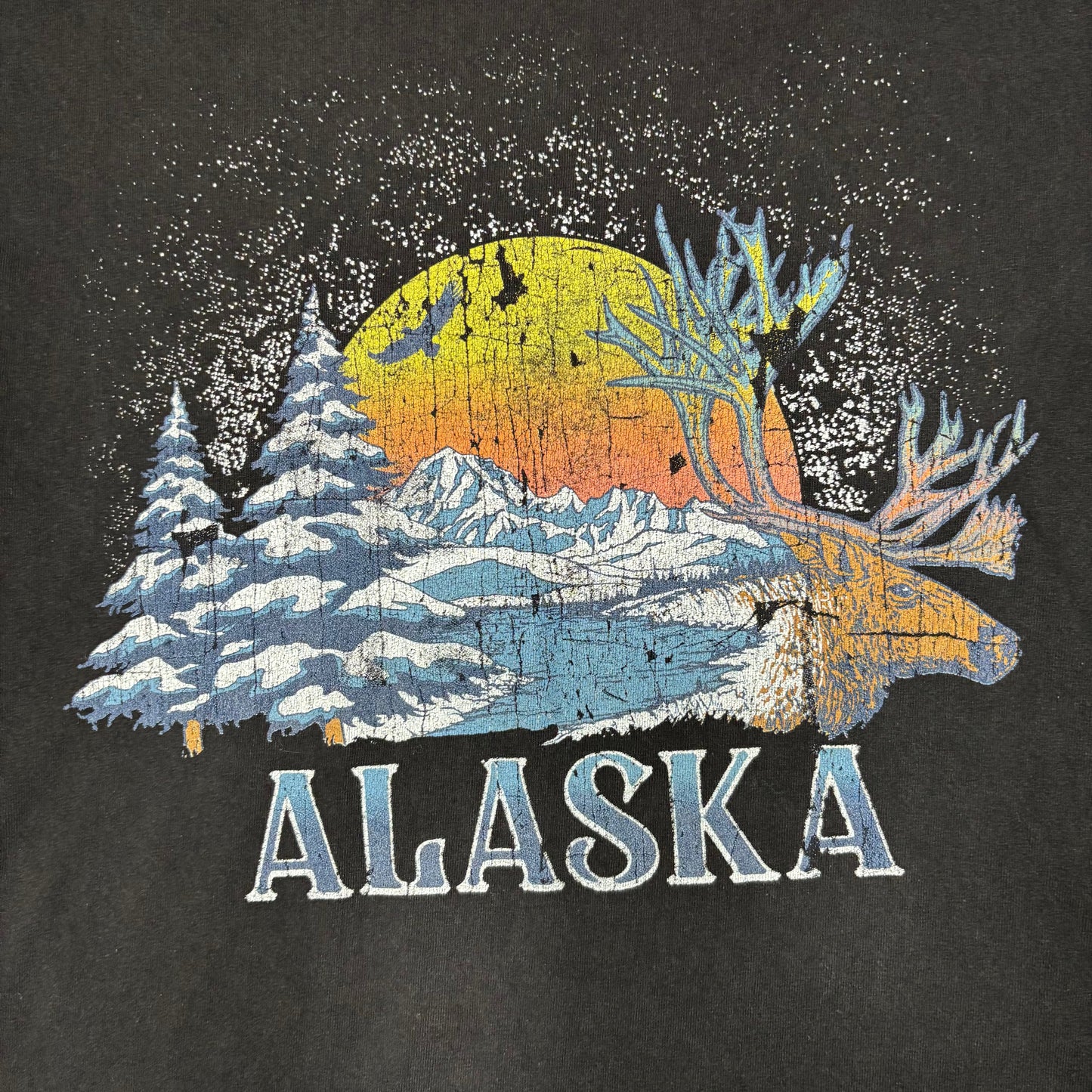 ALASKA Nature tee
